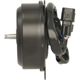 Purchase Top-Quality Condenser Fan Motor by FOUR SEASONS - 75815 pa13