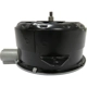 Purchase Top-Quality TYC - 630700 - Engine Cooling Fan Motor pa2