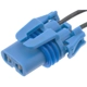 Purchase Top-Quality BLUE STREAK (HYGRADE MOTOR) - HP3960 - Headlamp Socket pa2