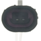 Purchase Top-Quality BLUE STREAK (HYGRADE MOTOR) - S1075 - Turn Signal Light Connector pa3