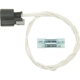Purchase Top-Quality Connector by BLUE STREAK (HYGRADE MOTOR) - S1273 pa1