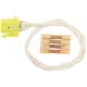 Purchase Top-Quality Connector by BLUE STREAK (HYGRADE MOTOR) - S1406 pa1