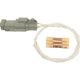 Purchase Top-Quality Connector by BLUE STREAK (HYGRADE MOTOR) - S1669 pa1