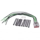 Purchase Top-Quality BLUE STREAK (HYGRADE MOTOR) - S1781 - Liftgate Release Actuator Connector pa2