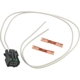 Purchase Top-Quality Connector by BLUE STREAK (HYGRADE MOTOR) - S1824 pa1