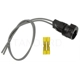 Purchase Top-Quality Connector by BLUE STREAK (HYGRADE MOTOR) - S2166 pa1