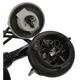 Purchase Top-Quality Connector by BLUE STREAK (HYGRADE MOTOR) - S2284 pa1