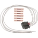 Purchase Top-Quality Connector by BLUE STREAK (HYGRADE MOTOR) - S2504 pa1