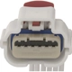 Purchase Top-Quality Connector by BLUE STREAK (HYGRADE MOTOR) - S2506 pa2