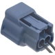 Purchase Top-Quality BLUE STREAK (HYGRADE MOTOR) - S2885 - Ignition Knock (Detonation) Sensor Connector pa2