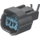 Purchase Top-Quality BLUE STREAK (HYGRADE MOTOR) - S2908 - Automatic Transmission Connector pa2