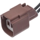 Purchase Top-Quality BLUE STREAK (HYGRADE MOTOR) - S2969 - Electrical Connector pa1