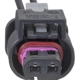 Purchase Top-Quality BLUE STREAK (HYGRADE MOTOR) - S2970 - Connector pa4