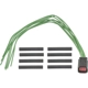 Purchase Top-Quality Connector by BLUE STREAK (HYGRADE MOTOR) - S3038 pa1
