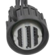 Purchase Top-Quality Connector by BLUE STREAK (HYGRADE MOTOR) - S3062 pa3