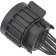 Purchase Top-Quality Connector by BLUE STREAK (HYGRADE MOTOR) - S3062 pa4