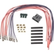 Purchase Top-Quality Connector by BLUE STREAK (HYGRADE MOTOR) - S3095 pa3