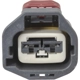 Purchase Top-Quality Connector by BLUE STREAK (HYGRADE MOTOR) - S3145 pa4