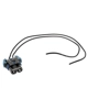 Purchase Top-Quality BLUE STREAK (HYGRADE MOTOR) - S523 - Headlight Connector pa4