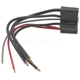 Purchase Top-Quality BLUE STREAK (HYGRADE MOTOR) - S667 - Side Marker Lamp Connector pa2