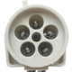Purchase Top-Quality Connector by BLUE STREAK (HYGRADE MOTOR) - S736 pa3