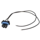Purchase Top-Quality Connector by BLUE STREAK (HYGRADE MOTOR) - HP3970 pa6