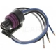 Purchase Top-Quality Connector by BLUE STREAK (HYGRADE MOTOR) - HP4440 pa13