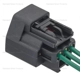 Purchase Top-Quality Connector by BLUE STREAK (HYGRADE MOTOR) - S2031 pa2