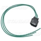 Purchase Top-Quality Connector by BLUE STREAK (HYGRADE MOTOR) - S2031 pa8