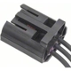 Purchase Top-Quality Connector by BLUE STREAK (HYGRADE MOTOR) - S2212 pa13