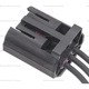 Purchase Top-Quality Connector by BLUE STREAK (HYGRADE MOTOR) - S2212 pa3