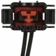 Purchase Top-Quality Connector by BLUE STREAK (HYGRADE MOTOR) - S2235 pa7