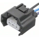 Purchase Top-Quality Connector by BLUE STREAK (HYGRADE MOTOR) - S2458 pa3