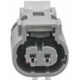 Purchase Top-Quality Connector by BLUE STREAK (HYGRADE MOTOR) - S2502 pa1