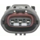 Purchase Top-Quality Connector by BLUE STREAK (HYGRADE MOTOR) - S2533 pa5