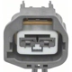 Purchase Top-Quality Connector by BLUE STREAK (HYGRADE MOTOR) - S2534 pa9