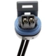 Purchase Top-Quality Connecteur par BLUE STREAK (HYGRADE MOTOR) - S556 pa14