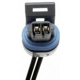 Purchase Top-Quality Connecteur par BLUE STREAK (HYGRADE MOTOR) - S556 pa15