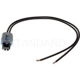 Purchase Top-Quality Connector by BLUE STREAK (HYGRADE MOTOR) - S556 pa2