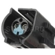 Purchase Top-Quality Connector by BLUE STREAK (HYGRADE MOTOR) - S567 pa9