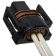 Purchase Top-Quality Connector by BLUE STREAK (HYGRADE MOTOR) - S587 pa1