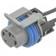 Purchase Top-Quality Connector by BLUE STREAK (HYGRADE MOTOR) - S641 pa10