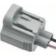 Purchase Top-Quality Connector by BLUE STREAK (HYGRADE MOTOR) - S816 pa2