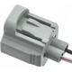 Purchase Top-Quality Connector by BLUE STREAK (HYGRADE MOTOR) - S816 pa7