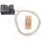 Purchase Top-Quality Connecteur de BLUE STREAK (HYGRADE MOTOR) - S933 pa2