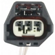 Purchase Top-Quality Connecteur de BLUE STREAK (HYGRADE MOTOR) - S933 pa6