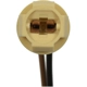 Purchase Top-Quality STANDARD - PRO SERIES - S100 - Side Marker Lamp Socket pa3