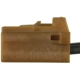 Purchase Top-Quality STANDARD - PRO SERIES - S1885 - Brake Light Switch Connector pa2