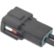 Purchase Top-Quality STANDARD - PRO SERIES - S2161 - Power Steering Pressure Switch Connector pa3