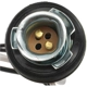 Purchase Top-Quality STANDARD - PRO SERIES - S504 - Tail Lamp Socket pa3